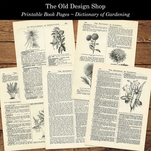 May include: Four black and white pages from a vintage book about gardening. The pages feature illustrations of plants and text about gardening. The text includes the words "The Dictionary of Gardening" and "An Encyclopedia of Horticulture".
