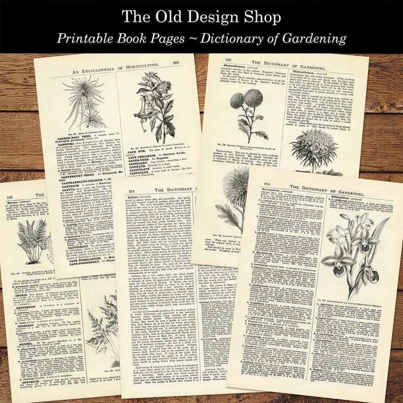 May include: Four black and white pages from a vintage book about gardening. The pages feature illustrations of plants and text about gardening. The text includes the words "The Dictionary of Gardening" and "An Encyclopedia of Horticulture".