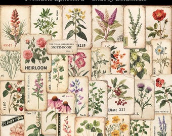 Shabby Botanical Ephemera Printable Ephemera Kit for Junk Journals Cardmaking Supply Shabby Grunge Botanical Labels Tags Digital Download