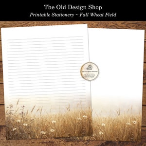 Papelaria para impressão de carta de campo de trigo de outono, margaridas de outono, papelaria para correspondência, pautada e sem pauta, tamanho carta dos EUA, download digital