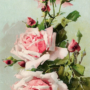 Roze rozen Clipart voor kaart maken Supply Junk Journals Catherine Klein afdrukbare briefkaart commercieel gebruik digitale download JPG-indeling