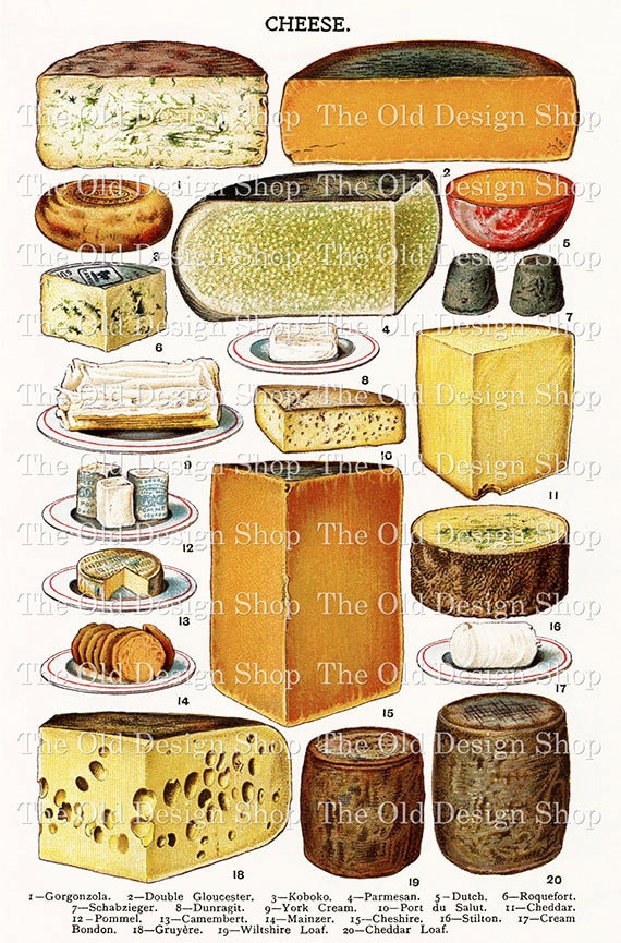 Vintage Food Printable Cheese Illustration Cookbook Page Etsy UK