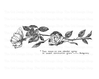 Vintage Rose Clipart, Floral Illustration, Digital Download PNG, JPG