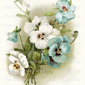 Blauwe en witte viooltjes clipart voor junk journals kaartmaken levering Catherine Klein Flowers volledig commercieel gebruik digitale download JPG-formaat