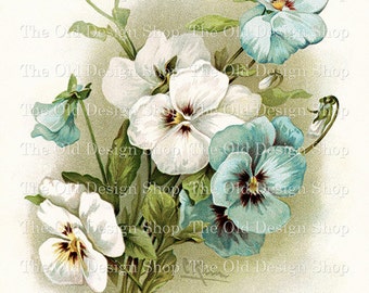 Blue and White Pansies Clipart for Junk Journals Cardmaking Supply Catherine Klein Flowers Full Commercial Use Digital Download JPG Format