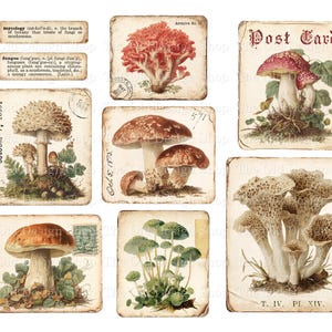 Shabby Mushroom Ephemera Printable Set Vintage Fungi Mycology Cards Botanical Junk Journal Kit image 3