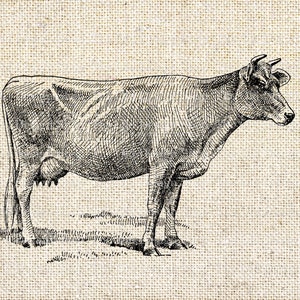 Jersey Cow Clipart Ink Saver Printable for Junk Journal Cardmaking ...