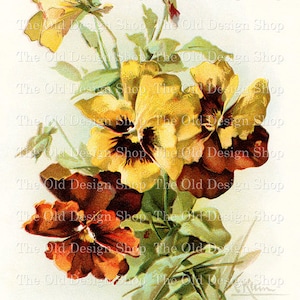 Pensées de couleur rouille jaune Catherine Klein pour la fabrication de cartes journaux indésirables graphiques de fleurs vintage usage commercial téléchargement numérique JPG