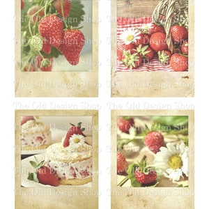 Printable Vintage Polaroid Pictures Retro Strawberries Strawberry Photographs Junk Journal Ephemera Cardmaking Supply Digital Download JPG image 4