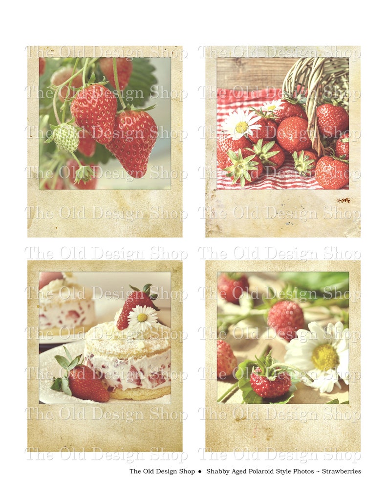 Printable Vintage Polaroid Pictures Retro Strawberries Strawberry Photographs Junk Journal Ephemera Cardmaking Supply Digital Download JPG image 4