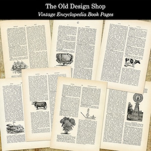 14 Vintage Encyclopedia Book Pages Commercial Use Digital Download JPG Format image 3