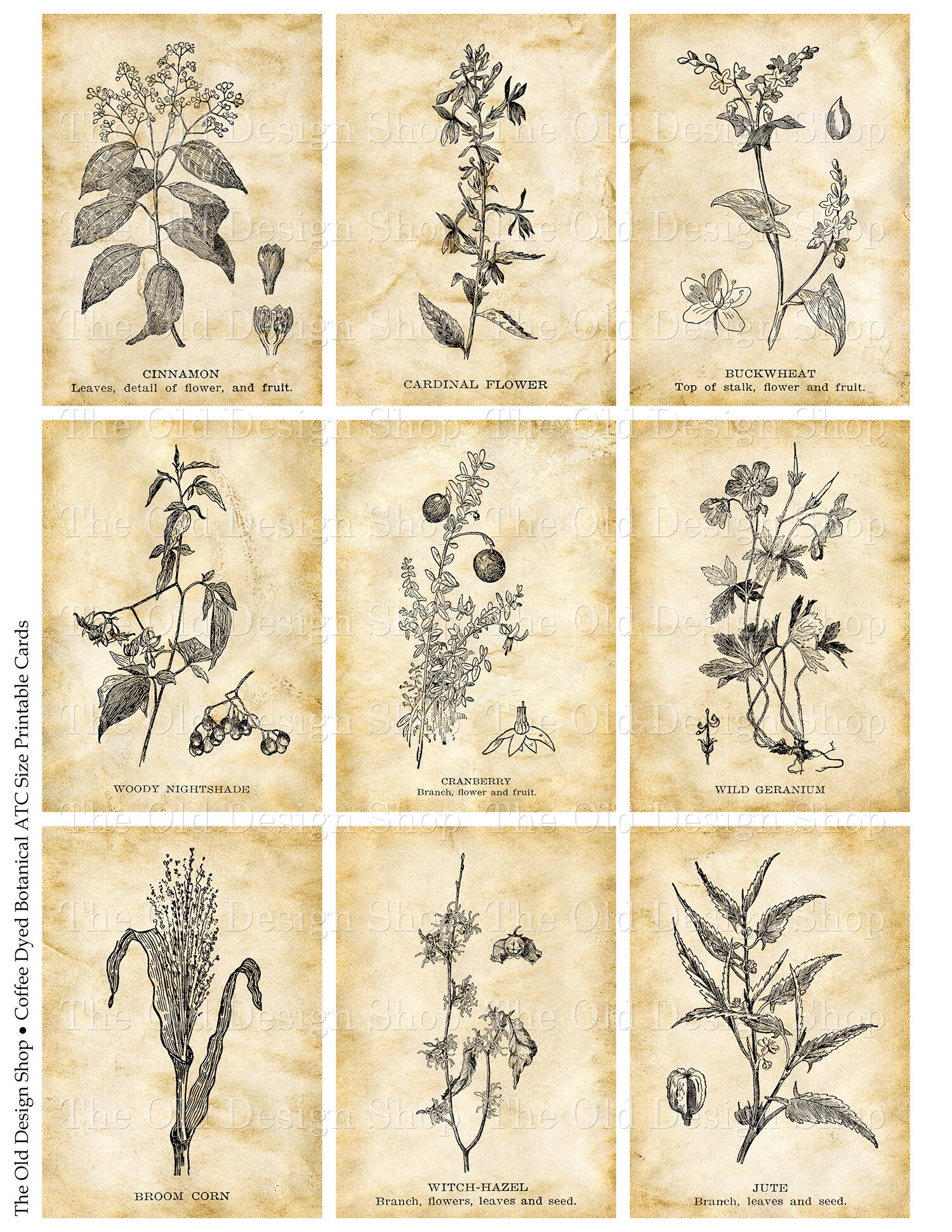 Botanical Coffee Dyed Printable ATC Size Journal Cards Digital - Etsy