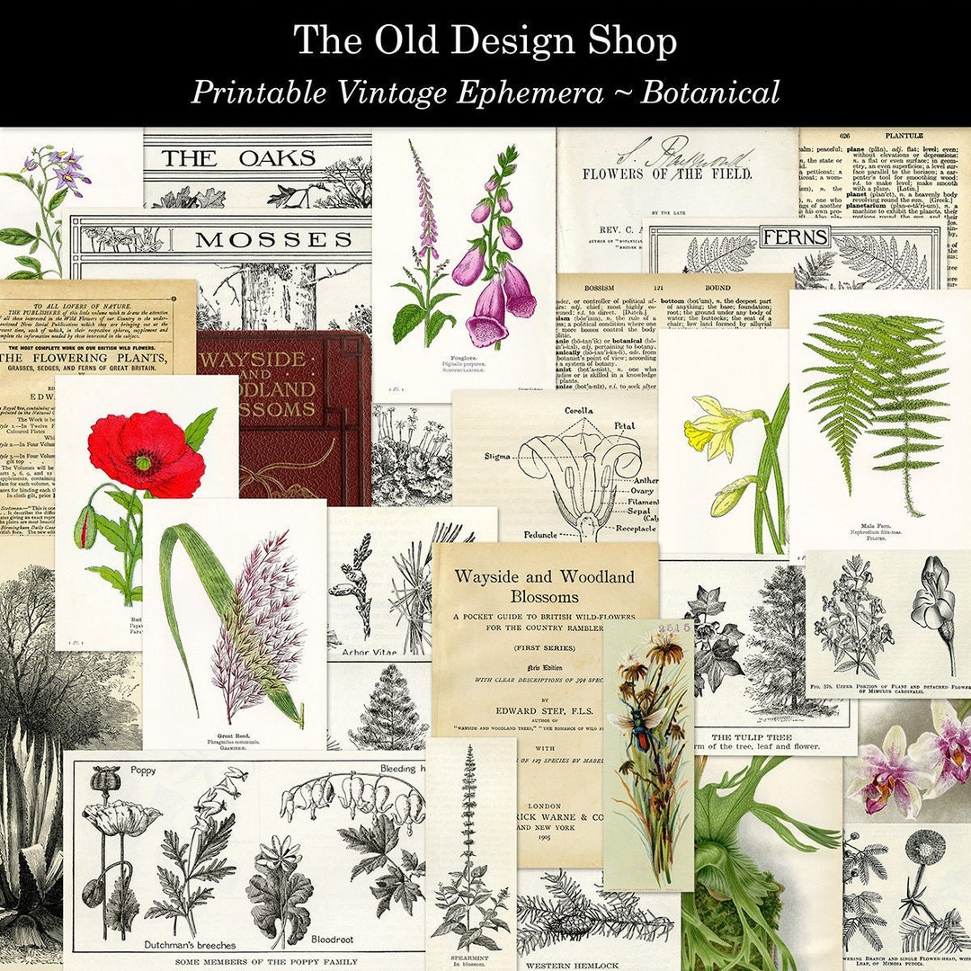 Junk Journal Kit Printable Botanical Ephemera Cardmaking Supply Vintage ...