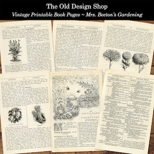 May include: Vintage book pages featuring black and white illustrations of flowers and plants. The pages include text about gardening and the names of different flowers. The text includes the title "The Old Design Shop" and "Mrs. Beeton's Gardening".