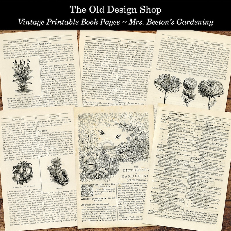 May include: Vintage book pages featuring black and white illustrations of flowers and plants. The pages include text about gardening and the names of different flowers. The text includes the title "The Old Design Shop" and "Mrs. Beeton's Gardening".