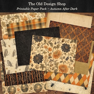 K&ouml;nnte beinhalten: Eine Sammlung bedruckbarer Papierb&ouml;gen mit dem Titel The Old Design Shop Printable Paper Pack ~ Autumn After Dark. Die Papiere zeigen Muster mit orangefarbenen K&uuml;rbissen, Eulen, schwarzem Damast, Herbstblumen, Karos, Rauten und Spinnen auf gealtertem Papier.
