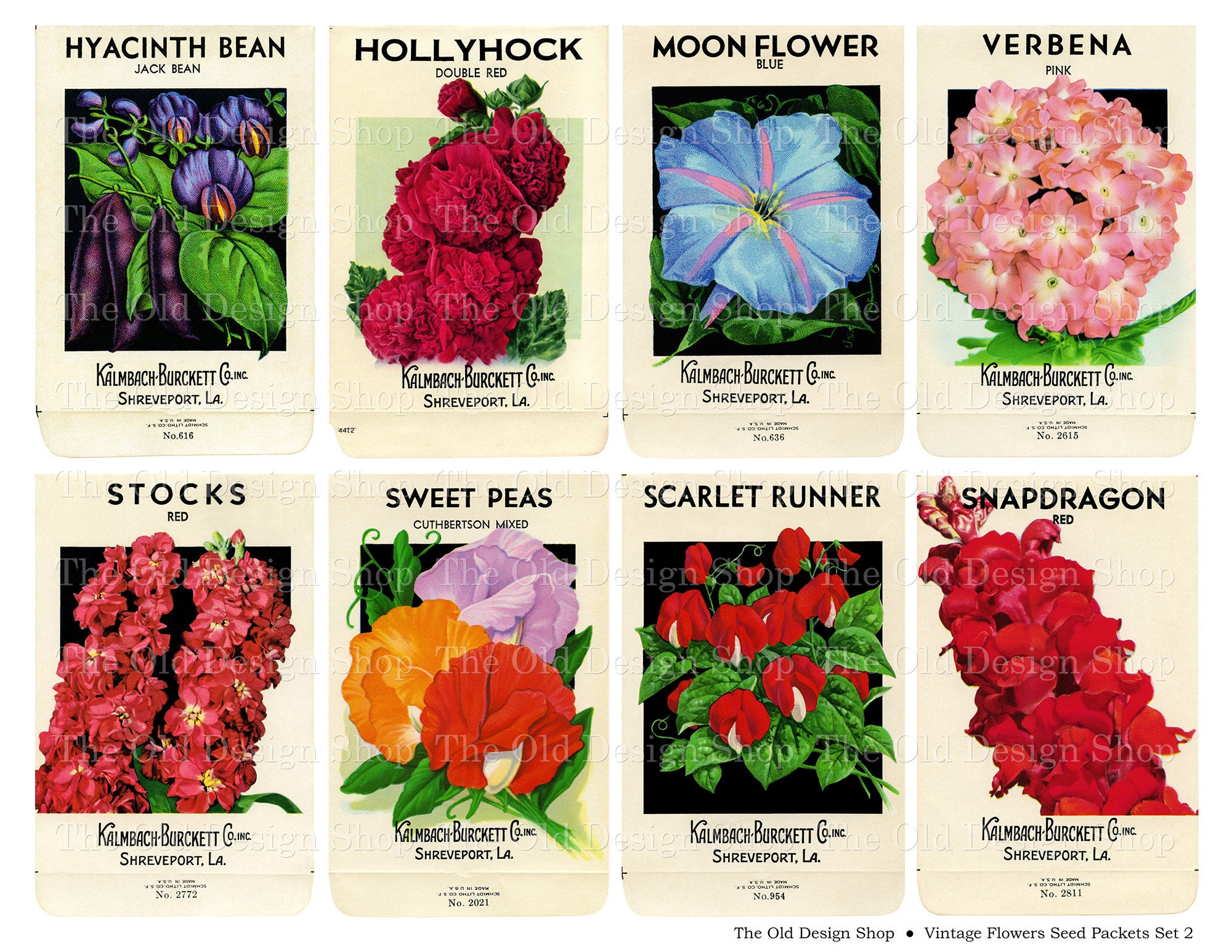 Vintage Flower Seed Packets Set 2 Commercial Use Printable JPG Digital ...