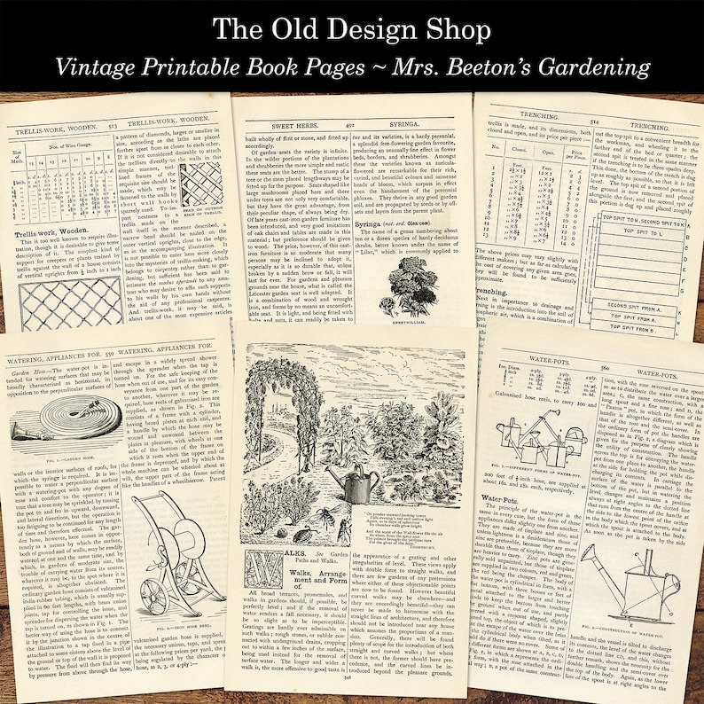 May include: Vintage book pages from Mrs. Beeton's Gardening, featuring illustrations and text about gardening techniques, including trellis work, sweet herbs, syringa, trenching, watering appliances, and water pots.