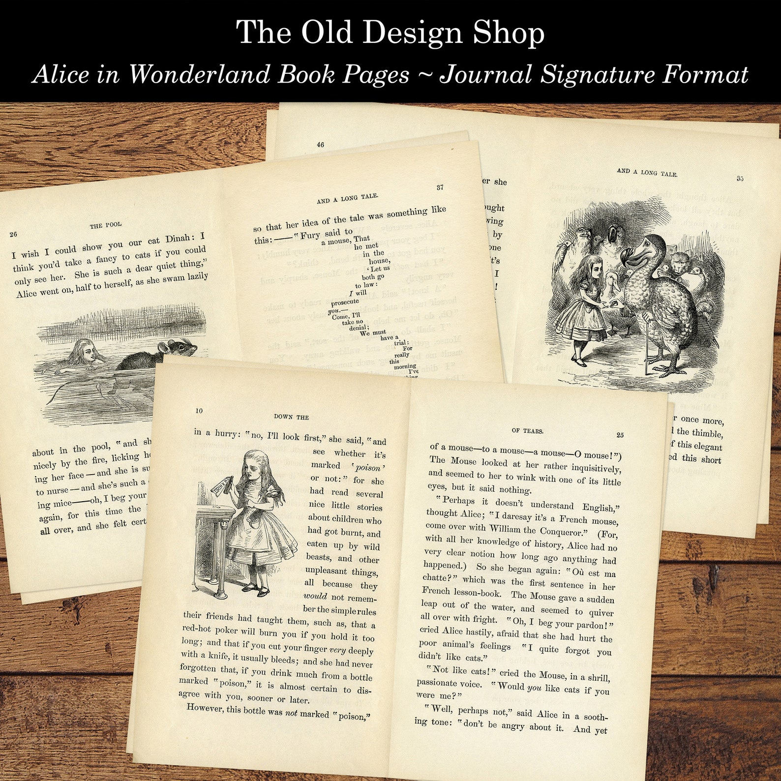 Alice in Wonderland Printable Book Pages Vintage Alice Journal - Etsy