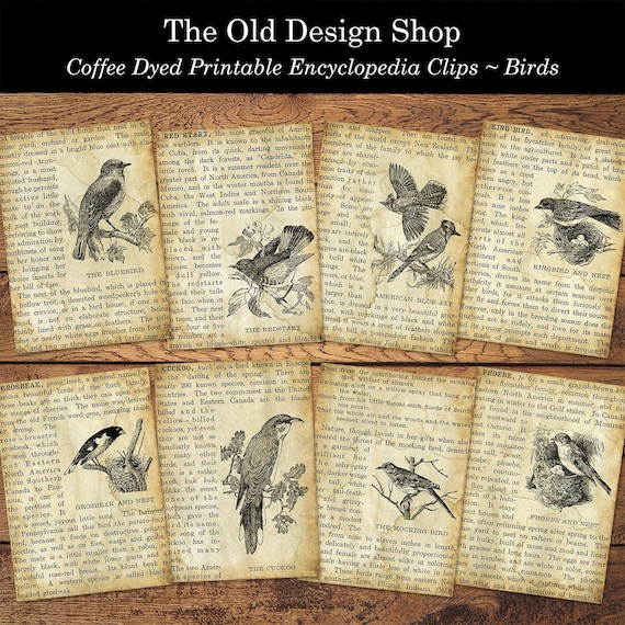 Printable Coffee Dyed Bird ATC Cards for Junk Journals Cardmaking Supply Encyclopedia Clips Ephemera Mini Papers Digital Download JPG File