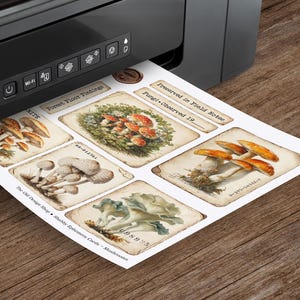 May include: A printer is shown printing a sheet of paper with vintage-style mushroom illustrations. The paper includes text such as "Forest Floor Findings" and "Fungi Observed 19". The illustrations feature various types of mushrooms in shades of brown, orange, and green.