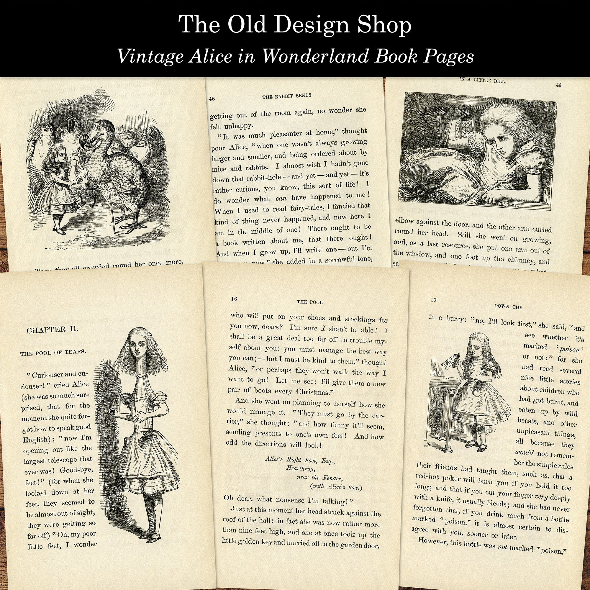 Alice in Wonderland Printable Book Pages Vintage Alice Journal - Etsy