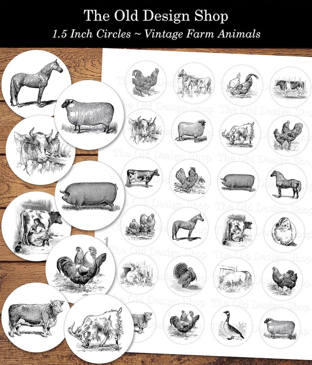 Farm Animals 1.5 Inch Circles Ink Saving Black and White Printable ...