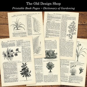 May include: A collection of vintage book pages from a dictionary of gardening. The pages feature black and white illustrations of various plants, including ferns, flowers, and vegetables. The text on the pages includes the names of the plants and descriptions of their characteristics.