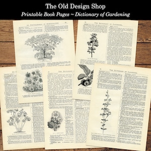 May include: Four black and white pages from a vintage book about gardening. The pages feature illustrations of plants and text about gardening. The title of the book is "The Dictionary of Gardening".