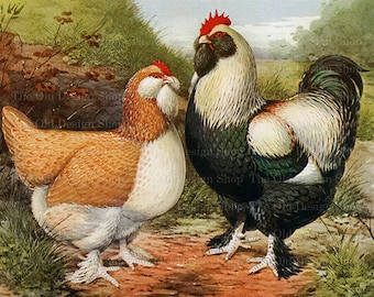 Vintage Rooster & Hen Graphic, Farmhouse Printable (Digital Download)