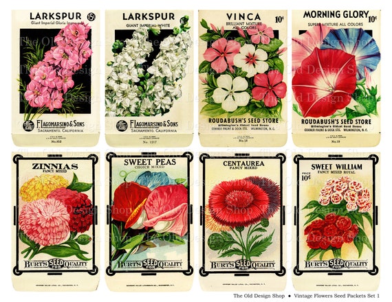 Vintage Flower Seed Packets Set 1 Commercial Use Printable JPG Digital  Collage Sheet and Individual PNG Images 