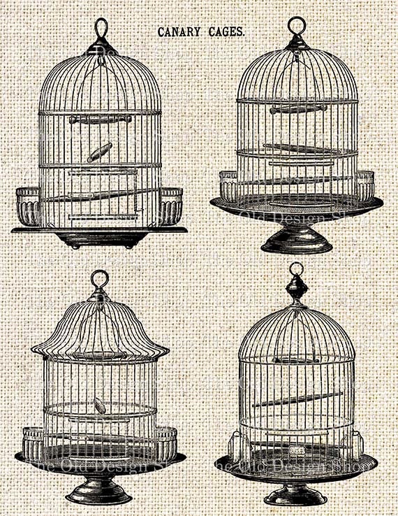 Bird Cage Clipart Vintage Graphics Printable Ink Saver Birdcages