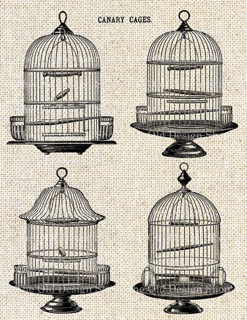 Vintage Birdcage Set 2 Printable Bird Cage Commercial Use Etsy