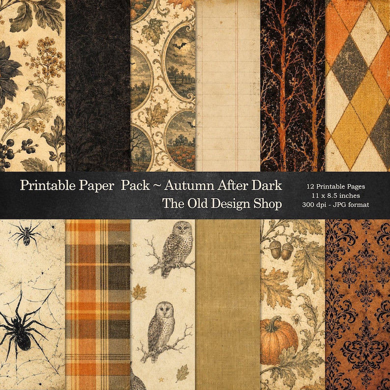 K&ouml;nnte beinhalten: Ein Set aus 12 druckbaren digitalen Papieren mit dem Titel Autumn After Dark, die 27,9 x 21,6 cm messen. Die Designs zeigen Muster von Spinnen, Netzen, Eulen, K&uuml;rbissen, Eicheln, Bl&auml;ttern, Karos, Damast und B&auml;umen in Schwarz, Orange und Creme.