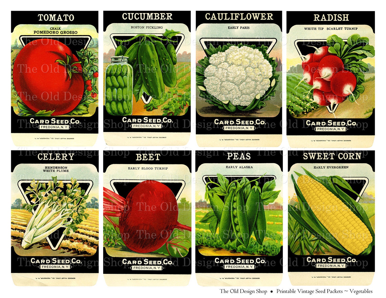 Vintage Vegetable Seed Packets Printable JPG Digital Collage - Etsy