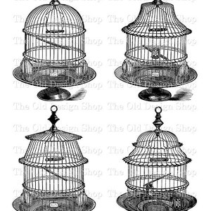 Clipart di gabbie per uccelli per cardmaking riviste spazzatura Ink Saver grafica per uccelli vintage sublimazione trasferimento uso commerciale download digitale PNG