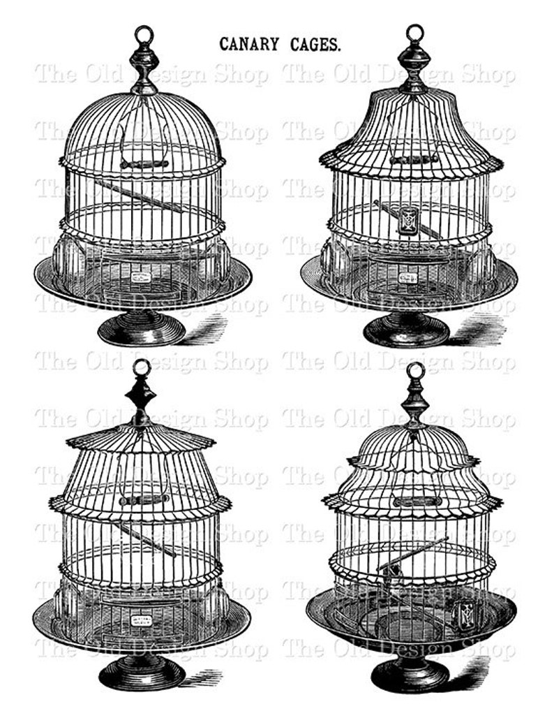 Bird Cage Clip Art Set 1 Printable Birdcage Vintage Black and Etsy