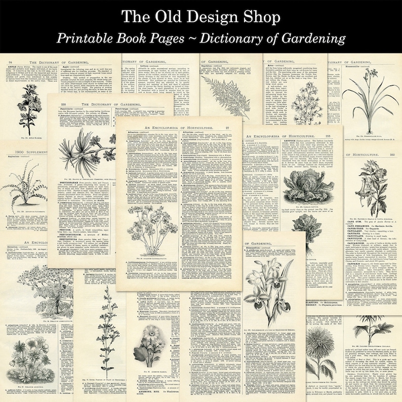 May include: A collection of vintage botanical illustrations from a book about gardening. The illustrations include various plants, flowers, and leaves, with text describing each plant. The title of the book is "The Dictionary of Gardening".
