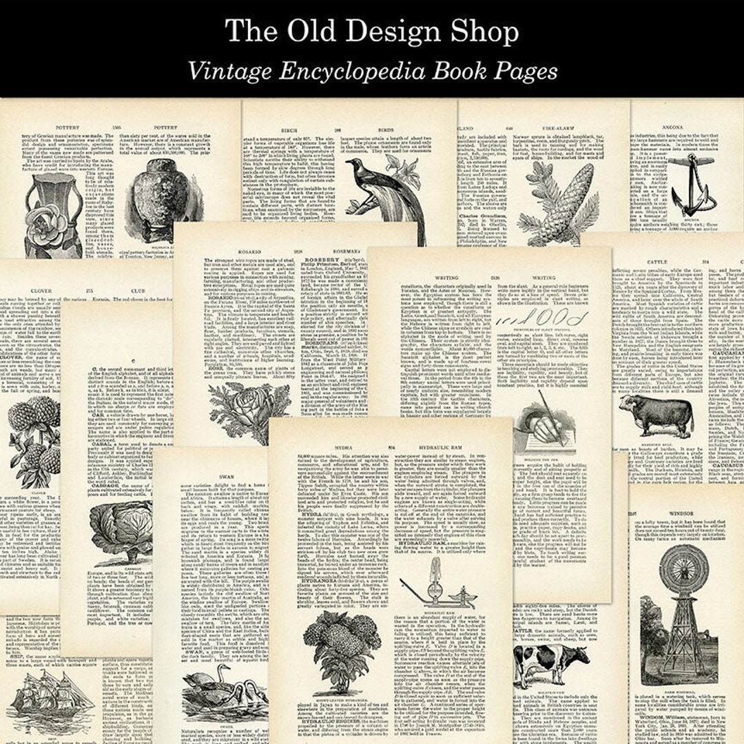 14 Vintage Encyclopedia Book Pages Commercial Use Digital