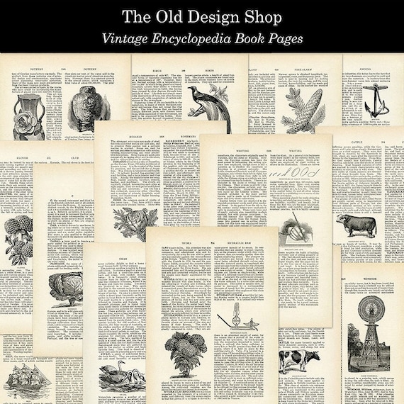 14 Vintage Encyclopedia Book Pages Commercial Use Digital