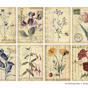 May include: A set of eight vintage floral cards featuring different flowers, including bluebells, sweet peas, forget-me-nots, tulips, and more. The cards have a distressed, aged look and are perfect for scrapbooking, card making, or other crafting projects.
