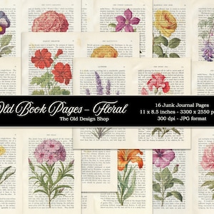 Junk Journal druckbare alte Buchseiten Garten Blumen Papier Pack druckbare Vintage botanische Papiere Cardmaking Supply digitaler Download JPG