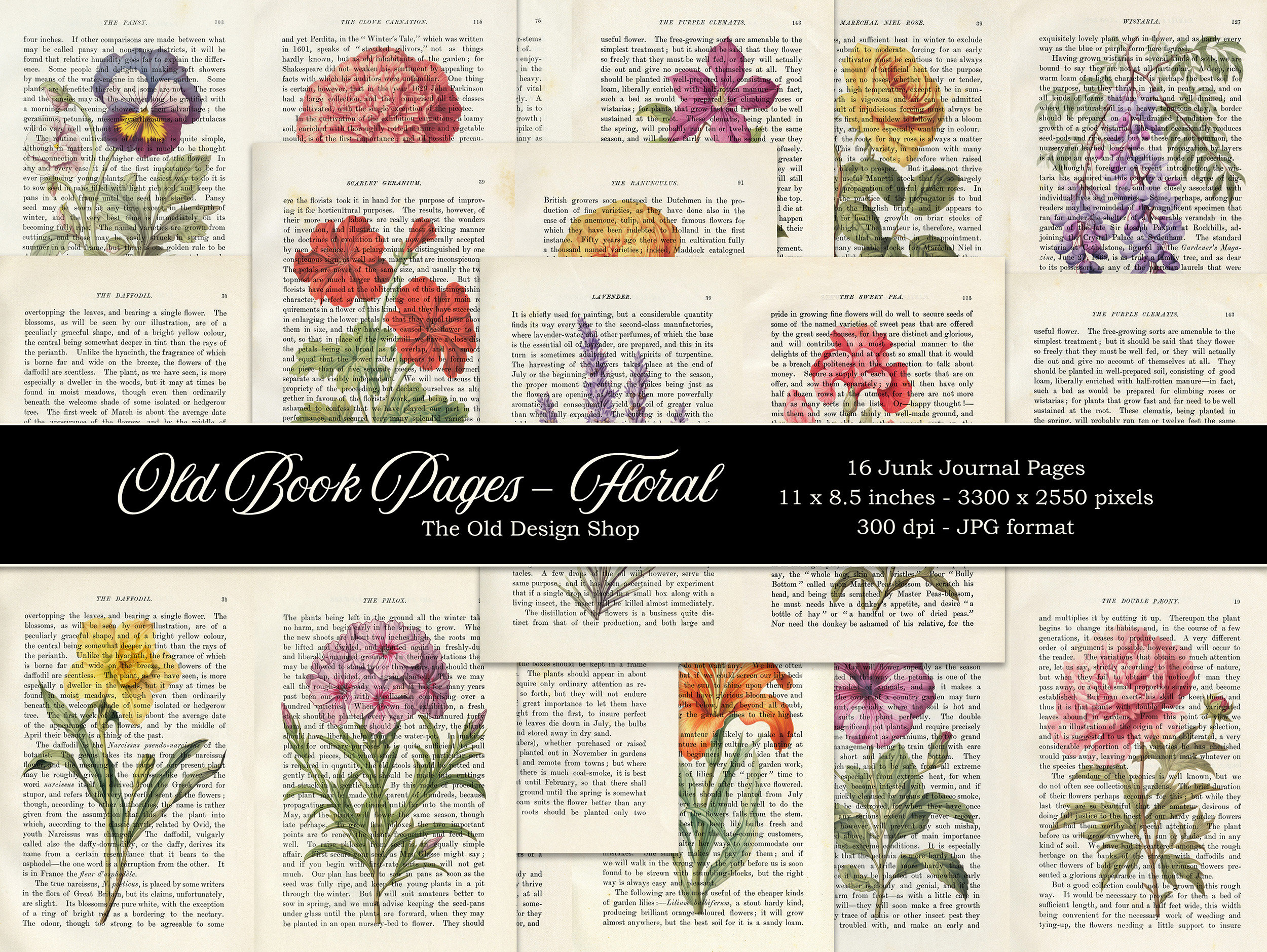 定番のお歳暮&冬ギフトの商品をすべ book botanical Old - 日本 Etsy その他