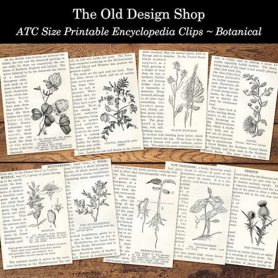 Botanical Encyclopedia Cards, Vintage Printable Ephemera Set #1, Digital Download