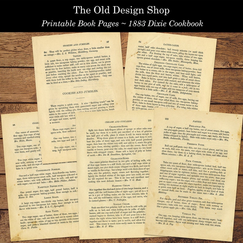 May include: A collection of vintage cookbook pages from the 1883 Dixie Cookbook. The pages feature recipes for cookies, cakes, custards, pies, and preserves. The pages are printed on aged paper with a yellowed hue.