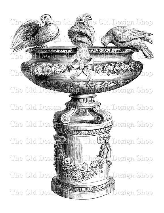 Bird Bath Clip Art Birds Enjoying Water Illustration - Etsy Finland