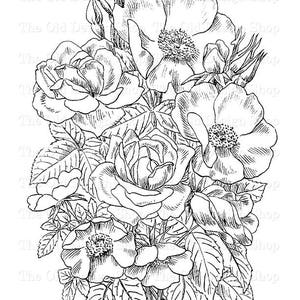 Boeket rozen clipart voor kaartmaken ongewenste tijdschriften sublimatie transfer afdrukbare kleurplaat rozen digitale download commercieel gebruik