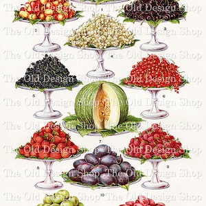 Ilustraciones de frutas vintage Página de libro antiguo imprimible para el diario de recetas Suministro de tarjetas Gráficos de alimentos vintage Uso comercial Página de libro de cocina