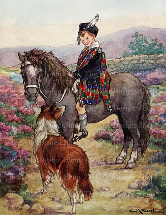 Download Vintage Illustration Scottish Boy Riding Shetland Pony Collie Etsy