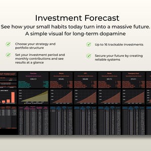 ADHD Budget Tracker Pro Google Sheets Monthly Annual Budget Spreadsheet Executive Dysfunction Tool Visual Map Sinking Funds Debt Snowball afbeelding 14
